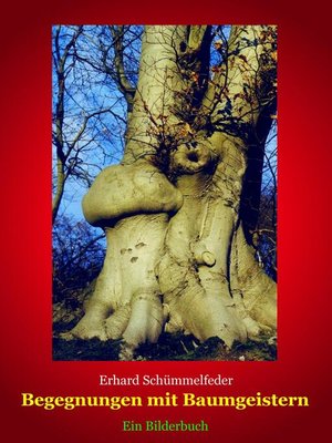 cover image of Begegnungen mit Baumgeistern